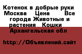 Котенок в добрые руки. Москва. › Цена ­ 5 - Все города Животные и растения » Кошки   . Архангельская обл.